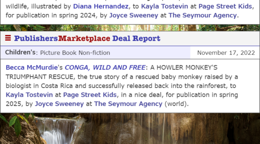 PBParty Success Story: Becca McMurdie